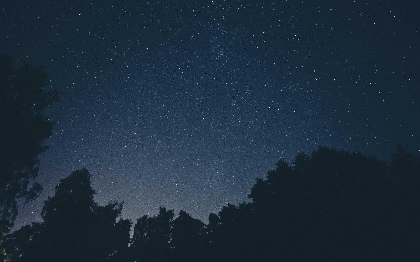 DawnWave photo 1